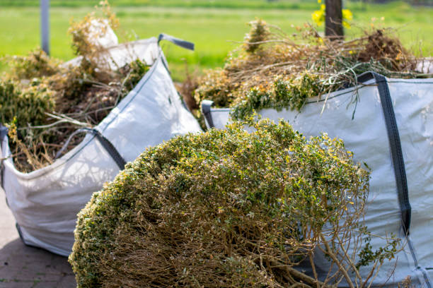 Attic Cleanout Services in Stockton, MO